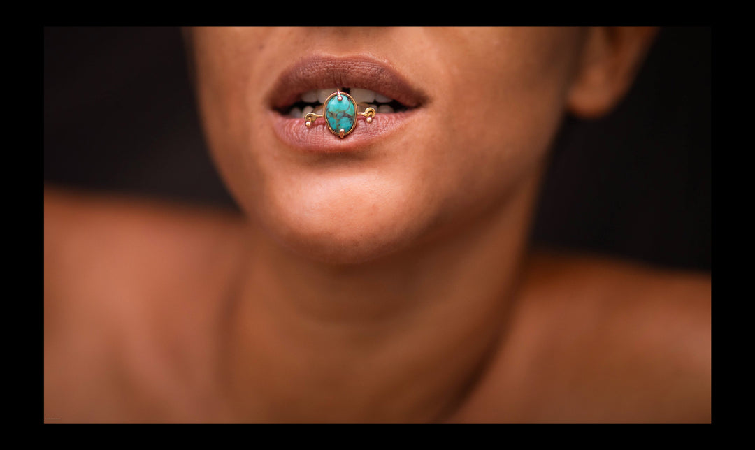 Full Circle Series II