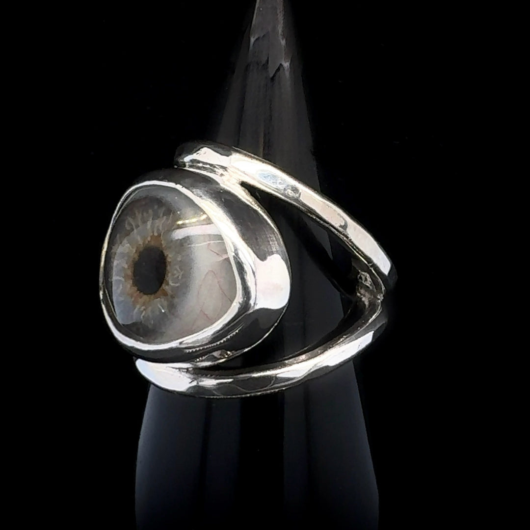 Eyeba x AA Ring