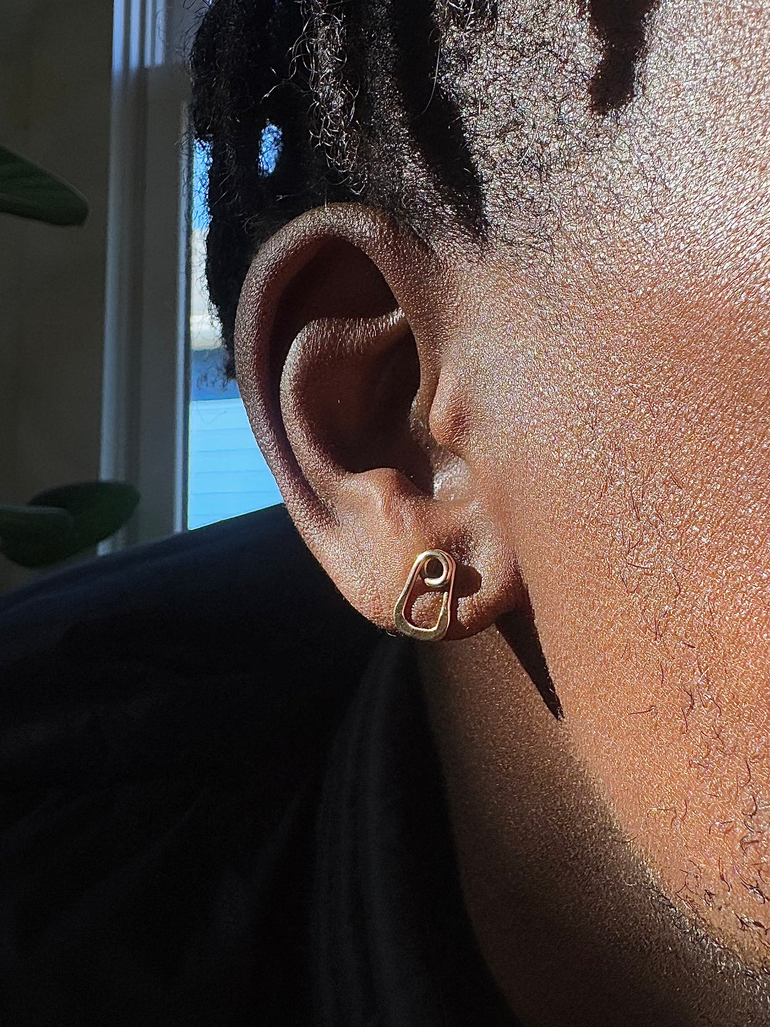 Dakota Post Earrings