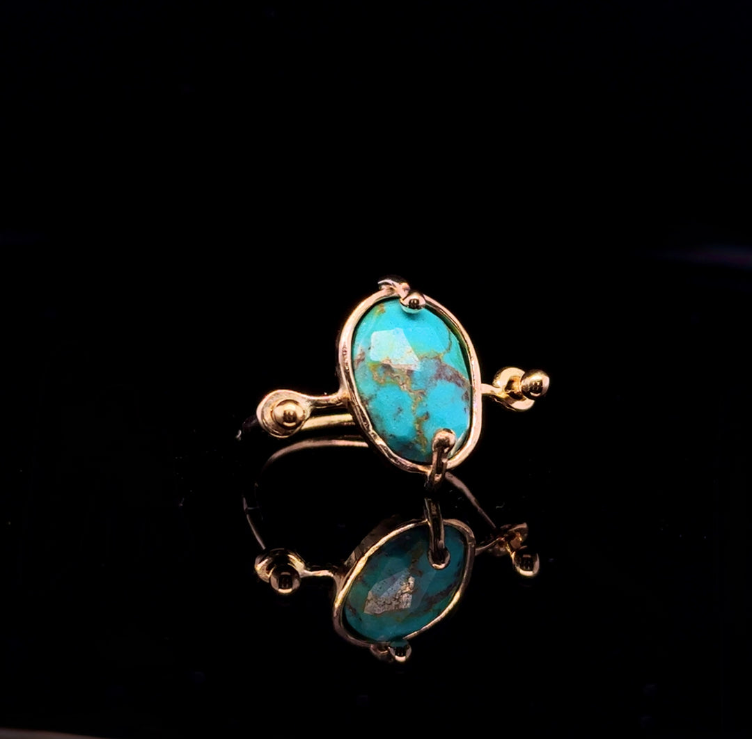 Full Circle Series II